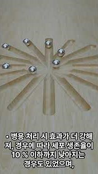 편평 세포 암종에서 전통 의약품 티모퀴논과 디오스게닌의 항암 및 세포 사멸 잠재력