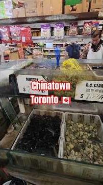 Exploring Toronto's Chinatown | What will we find? 🇨🇦🍁