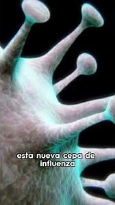 Gripe K no es una amenaza pero no hay que bajar la guardia | MLDA