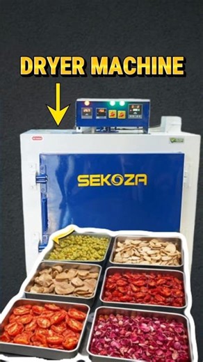 Perfect Drying Results with SEKOZA Dehydrator