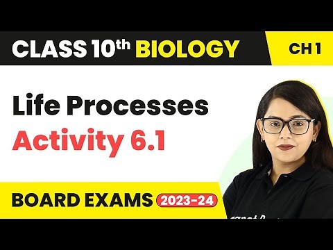 Life Processes - Activity 6.1 | Class 10 Biology