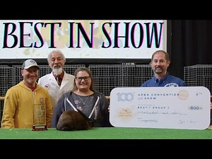 2023 ARBA Open Rabbit BEST IN SHOW