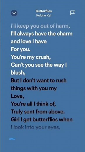 Butterflies - Kolohe Kai🤍 #lyricsvideo #songs #lyrics #fyp #kolohekai #butterflies