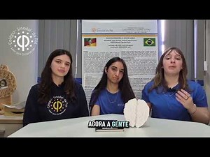 Neurotransmissores Na Sinapse Química