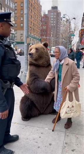 Old Lady with Bear | Heart-Touching Friendship You Must See 🐻💞