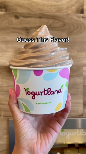Guess the Flavor at Yogurtland