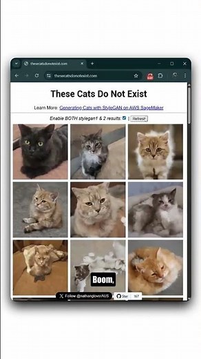 This Website Generates Endless AI Cats