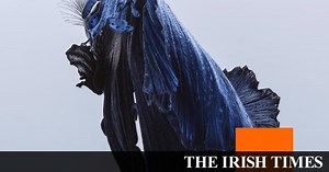 Talos: Far Out Dust review – No tricks, no shortcuts, just captivating songs
