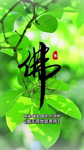 【佛曲】 潘盈, 露菲, 劉瓊婷 -《南無觀世音菩薩》| Buddhist Songs | Namo Amitabha | Om Mani Padme Hum