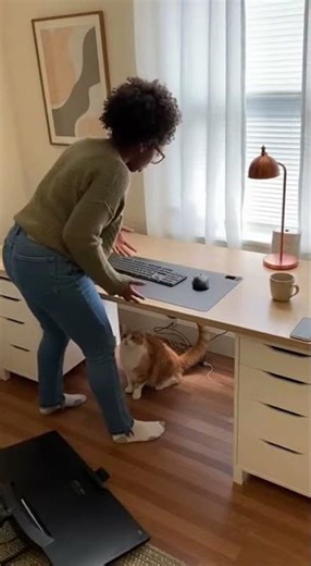 Cat DESTROYS Computer Monitor!