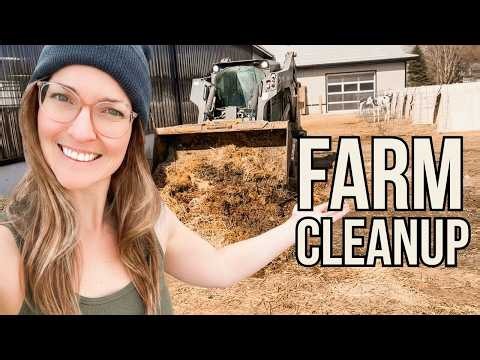 Calf Yard Transformation on our Family Dairy Farm