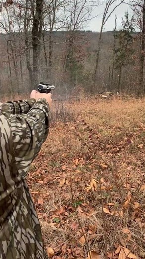 Having fun camping!!! Have a great day!