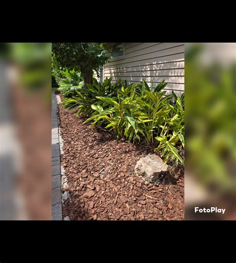 Weeding & Mulching | Revivifi