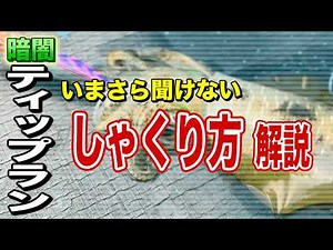 【ティップラン】しゃくり方解説！トレーニングで釣果爆上げ！集魚灯を消したらまさかの神展開