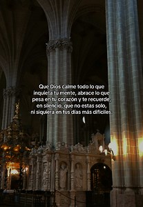 Entrega tus preocupaciones a Dios: oración y paz (Filipenses 4:6)