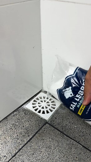 salt in the drain. | Home Tips