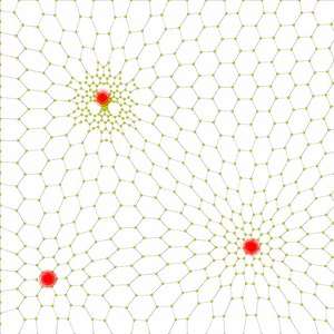 radiolaria applet 2D, some features