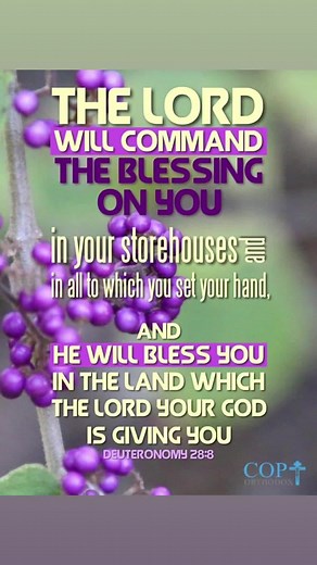 Barbara Ann Lockhart on TikTok