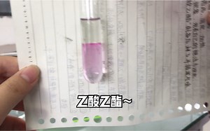 实验：乙酸乙酯的制备！