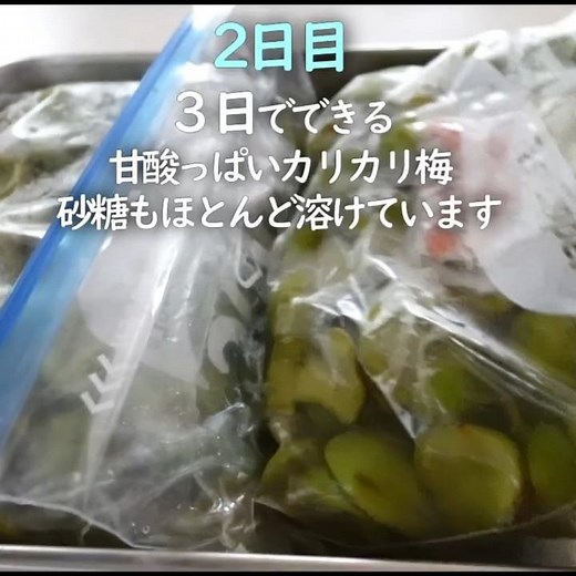 Day 2: [Delicious Crunchy Pickled Plums Ready in 3 Days]