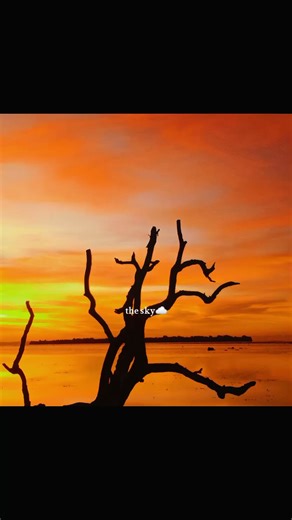 Bipi Island 🏝 Manus Province