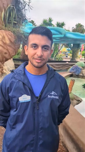 13K views · 166 reactions | Every Wednesday in July we've been celebrating Wild About Wildlife month and for this last feature, we want to showcase some tiny fish that make a big impact! Meet aquarist Jacob who shares his experiences working with Gara ruffa, otherwise known as our cleaner fish. | SeaWorld San Diego | Facebook
