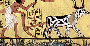 Daily Life in Ancient Egypt