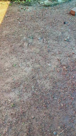 5.1K views · 114 reactions | Easy making coconut to Shell light 﫣 #coconutshellcraftideas #coconutshellcraft #coconutshellproduct #love #coconut #coconutbowls #life #loveislove #BTS #followforfollowback | Master Ideas | Facebook