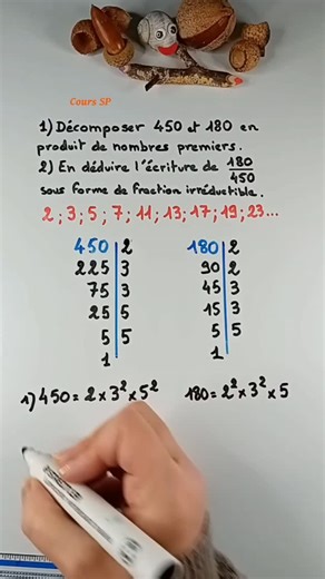 Facteurs premiers et fraction irréductible #maths #college #dnb #exam #fyp #math #method #exercise #pourtoi #fraction | Courssp-maths
