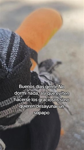 Eviten hacerse los graciosos, los irónicos o los que me quieren levantar el ánimo con frases motivacionales de Instagram. Mi mano derecha tiene vida propia cuando tengo sueño, y si me buscan el lado cómico, lo más probable es que terminen desayunando un sopapo bien servido.