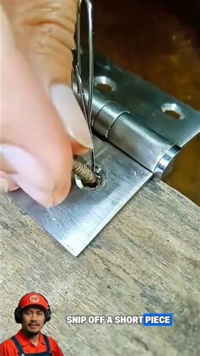 The GENIUS Way to Fix a Stripped hinge SCREW Hole in Seconds! [PAPERCLIP solution] #diy #screw