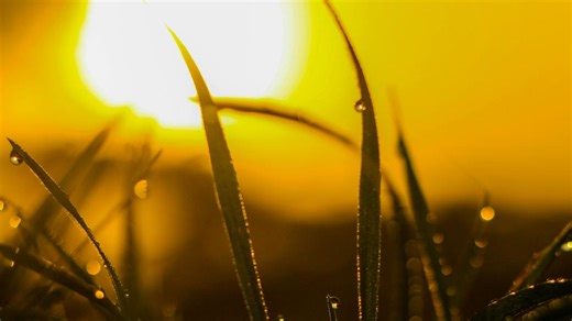 Breaking down why humidity is higher in the morning versus the afternoon
