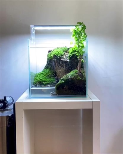 Creating a Serene Waterfall Terrarium: A Step-by-Step Guide