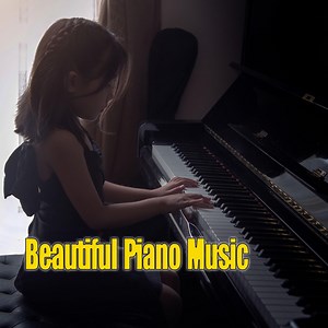 Sunshine Dream - Hanna Chan: Song Lyrics, Music Videos & Concerts
