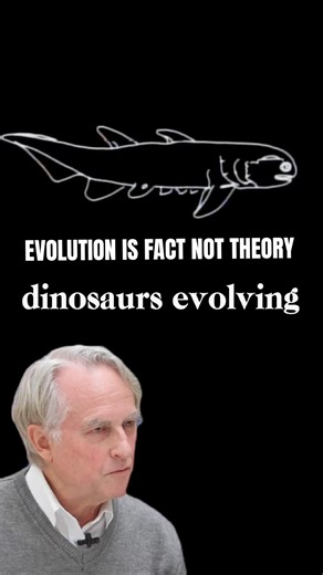 Evolution Is Fact Not Theory- Richard Dawkins