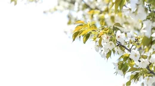 倍科beko洗衣机显示E05怎么办倍科beko洗衣机维修中心|24小时全国统一售后受理中心电话4008884959