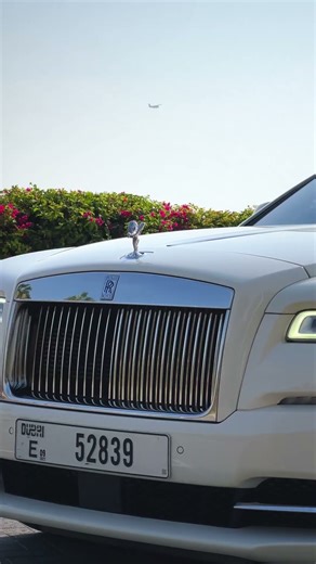 It's our celebration — your discounts!