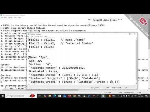 BSON&Insert Document/s