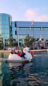 13 reactions | GIVEAWAY Stay & play at the Hyatt Regency Long Beach + a Wheel Fun Rentals swan boat rental at Rainbow Lagoon ☀️ Enter on Instagram (@VisitLB) by 11:59PM on 3/31 for a chance to win a (1) night stay at the Hyatt Regency Long Beach AND a 1-hr swan boat rental for 2 with Wheel Fun Rentals: https://bit.ly/3xaJJ4A | Visit Long Beach | Facebook
