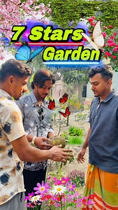 13K views · 385 reactions | 7 Stars Garden 華 | 7 Stars | Facebook