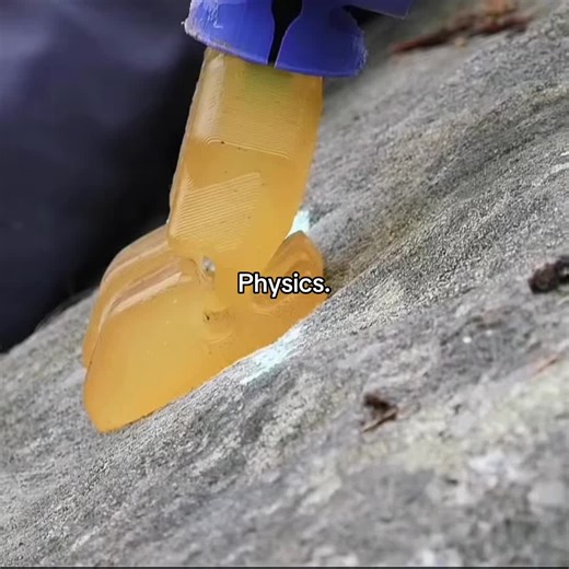 Diagram of the Water Cycle Explained