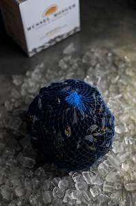 LIVE MUSSELS 4 Kg - Mussel Monger