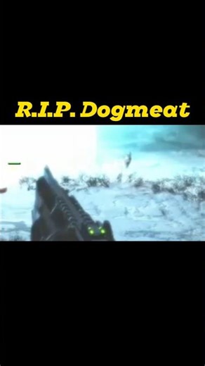 Poor dogmeat… and fps