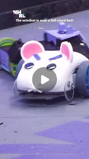 NHRL - Robot fighting league on Instagram: "Danger Mouse! Pawsitively Hissterical’s mini mouse bot, that was made from a computer mouse is now a full sized horizontal spinner fighting robot in its own right called: Revenge of Mouse Mouse @grumplebots we salute you #nhrl #engineering #dangermouse #penfold #battlebots #battlebot #robotwars #mouse #logitech #cat #catsoftiktok #protecttranskids #Igbt #Igbt / # = #loveislove #silly #sillygooseenergy"