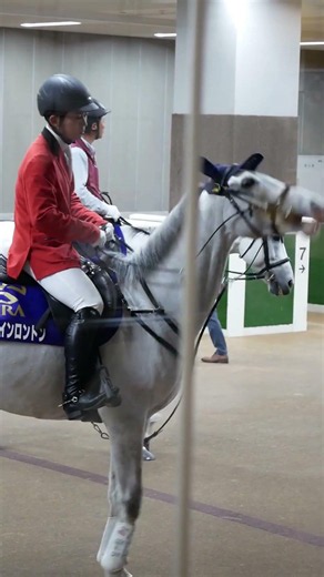 先輩誘導馬が見つめる先には……… #競馬 #東京競馬場 #誘導馬 #horse