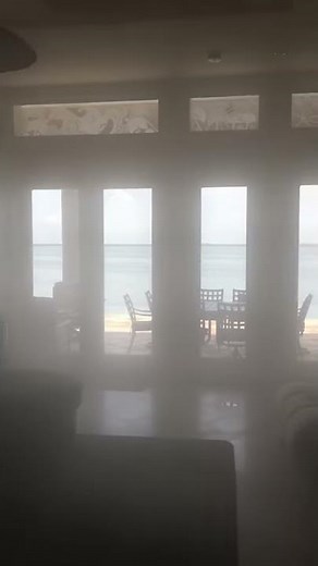 Mold Bros - Dry Fog InstaPURE Application - In Large Living Room After 20 Minutes