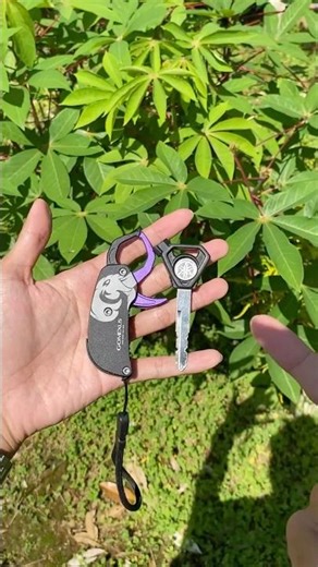 Mini Lip Grip, Just the Size of a Motorcycle Key