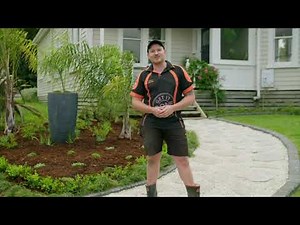 How to Create a Classic Low Maintenance Garden | Mitre 10 Easy As Garden