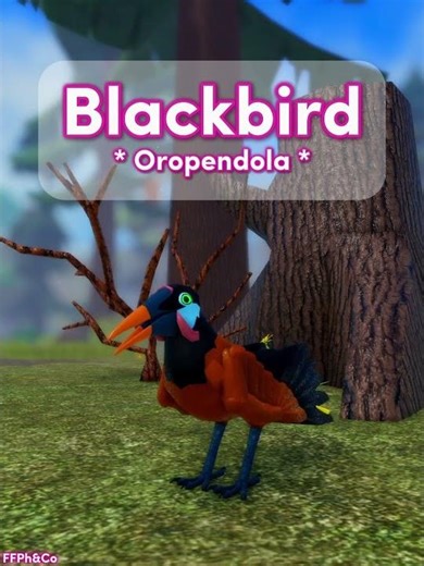 Blackbird * new * Oropendola🐦🐣 in Feather Family #RobloxShorts #FeatherFamily