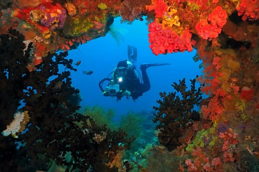 7 Most Spectacular Diving Spots in Cebu Philippines | Guide to the Philippines